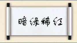 暗绿稀红