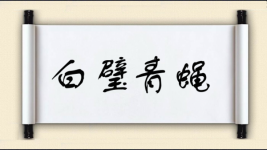 白璧青蝇