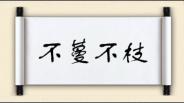 不蔓不枝对对子图片