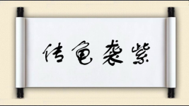 传龟袭紫