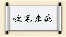 吹毛求疵对对子图片