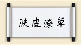 肤皮潦草对对子图片