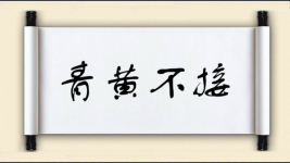 青黄不接对对子图片