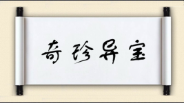 奇珍异宝对对子图片