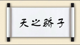 天之骄子对对子图片