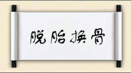 脱胎换骨对对子图片